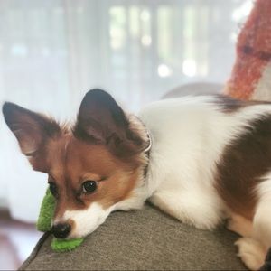 Meet your Posher, Carla